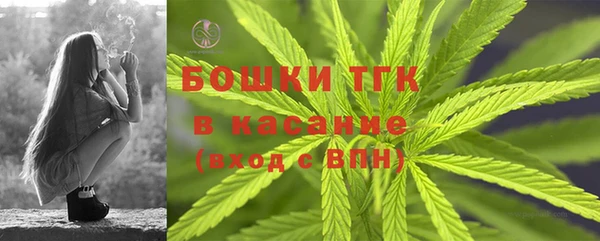 индика Верхний Тагил