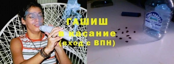 индика Верхний Тагил